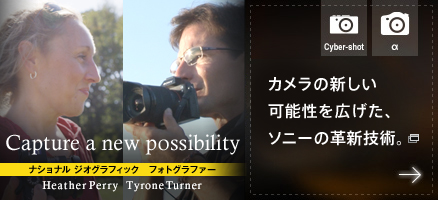 ソニー「デジタル版は所有ではない」→購入ボタンがあるのにレンタル扱い！？